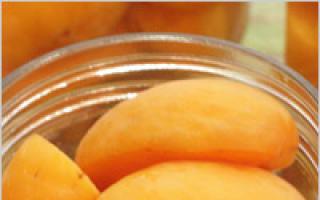 Лучшие блюда из абрикосов: рецепты и рекомендации Что приготовить из несладких абрикосов
