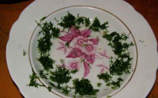 Салат «Грибное лукошко» – вкусное украшение вашего стола Грибная корзина салат рецепт