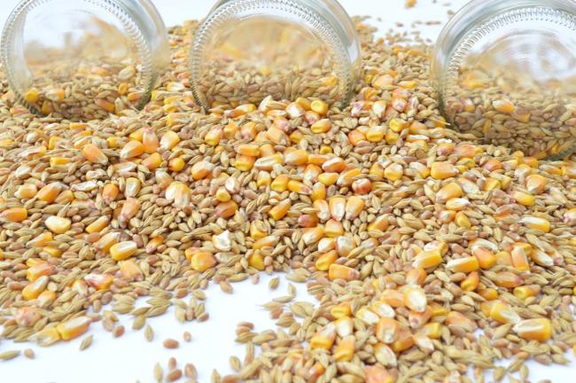 Польза и вред пшеницы с медом thumbnail